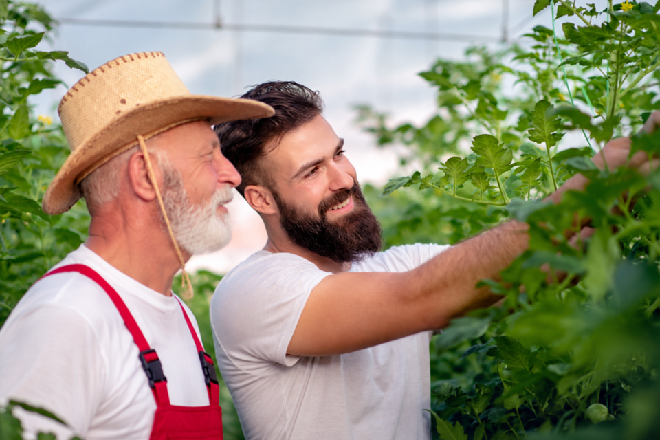 Younger man volunteering to help older man with gardening